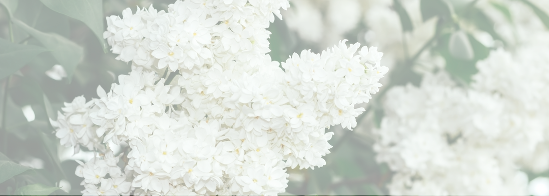 Spring Gifts