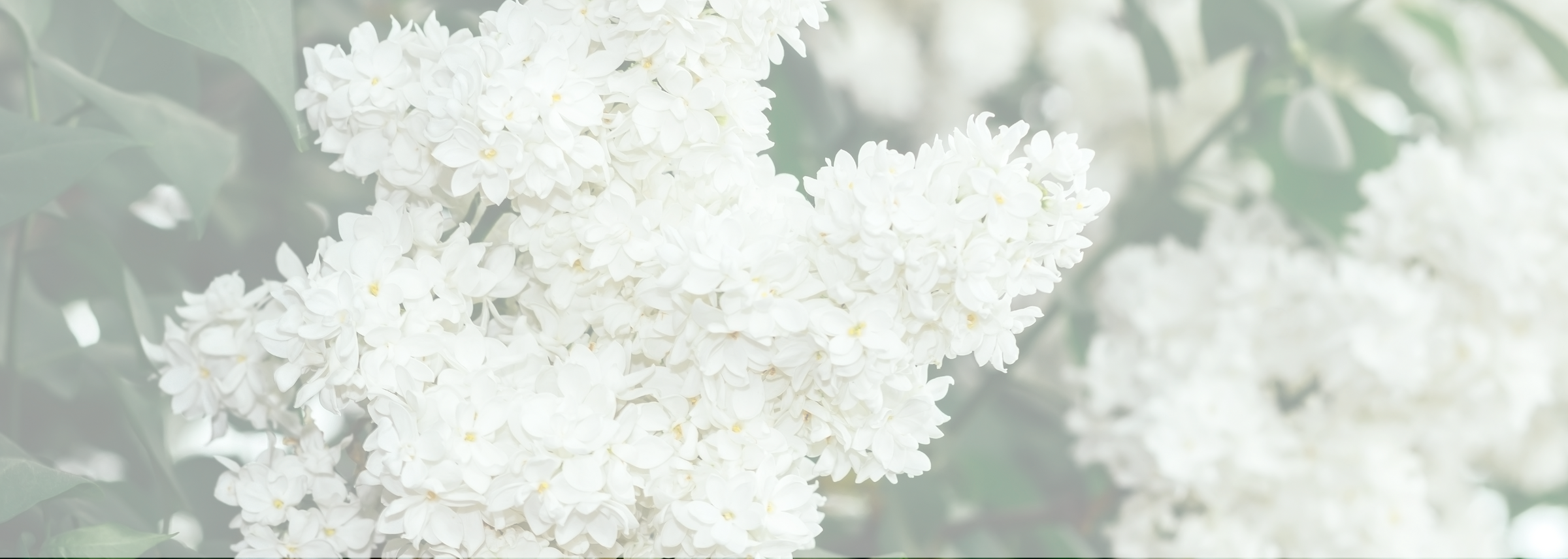 Spring Gifts
